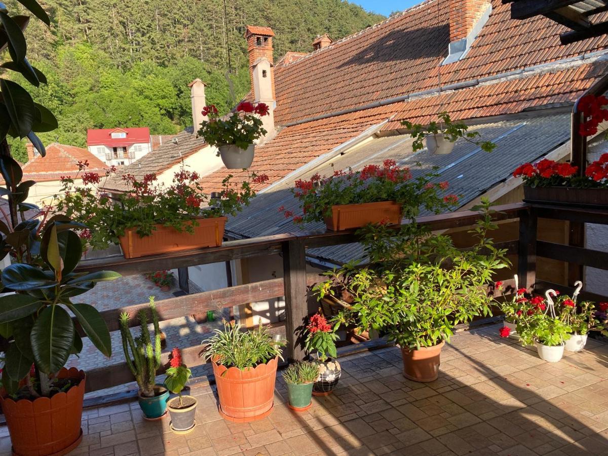 Victoria Gasthaus Rasnov - Charming Vacation House In Rasnov Dış mekan fotoğraf